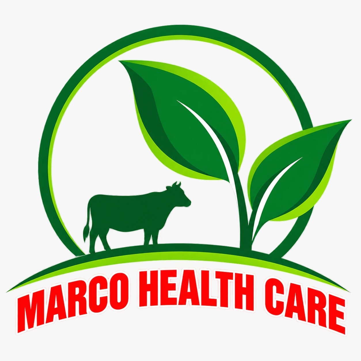 marco healthcare